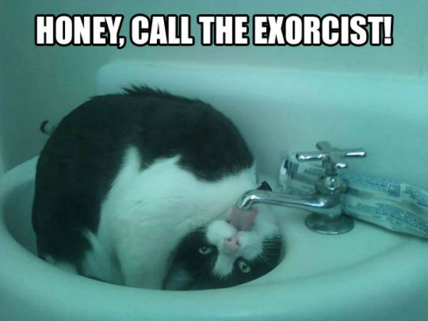 call_the_exorcist.jpg
