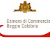 Reggio Calabria - StartUp Roadshow 2015