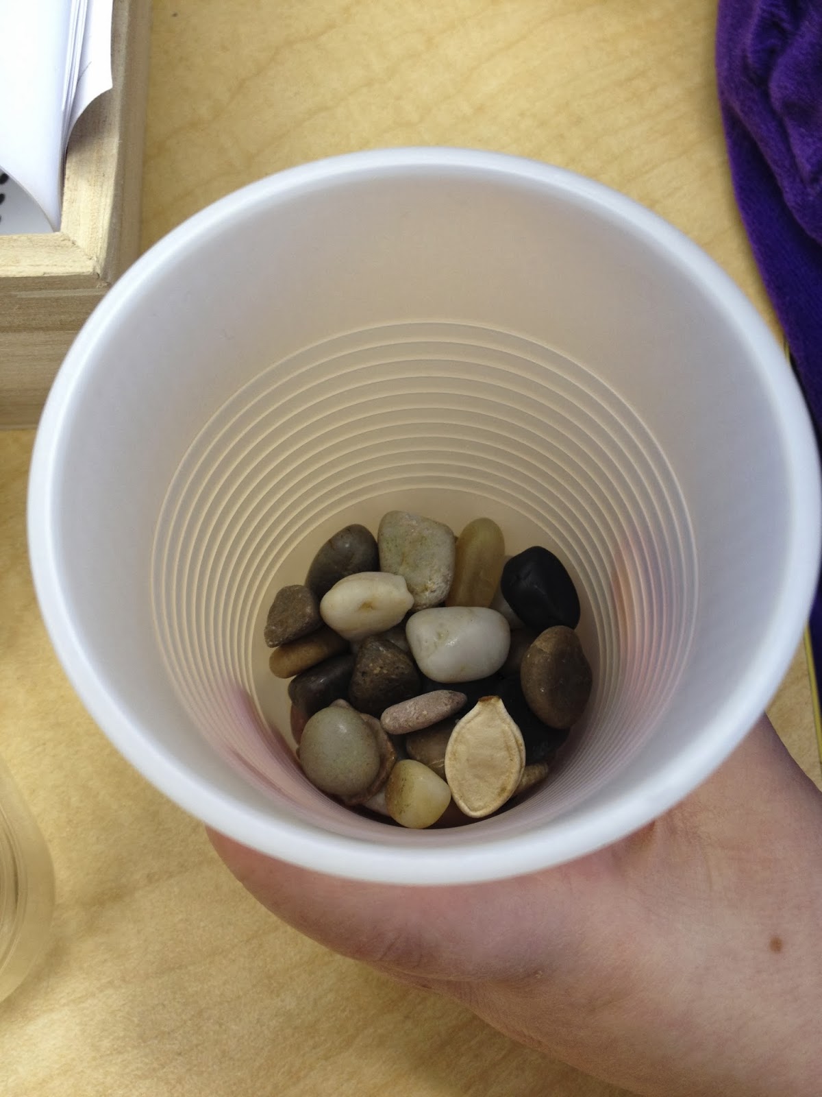 Thinking and Learning in Room 122 Can Plants Grow in Rocks?