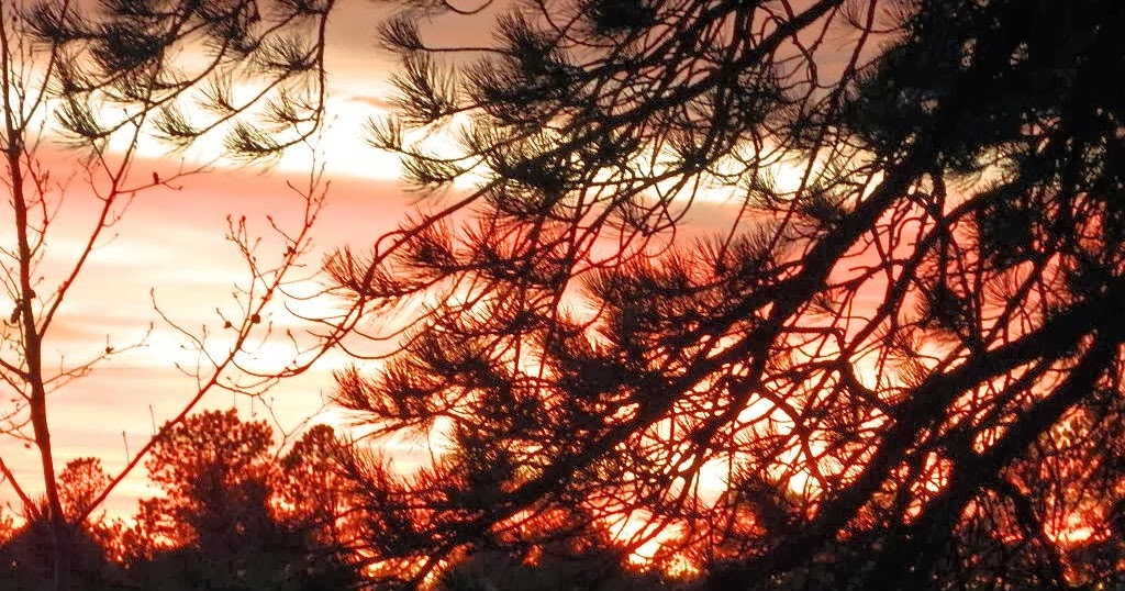 Live SimplyGive MoreNeed Less Living & Exploring Life As A Modern