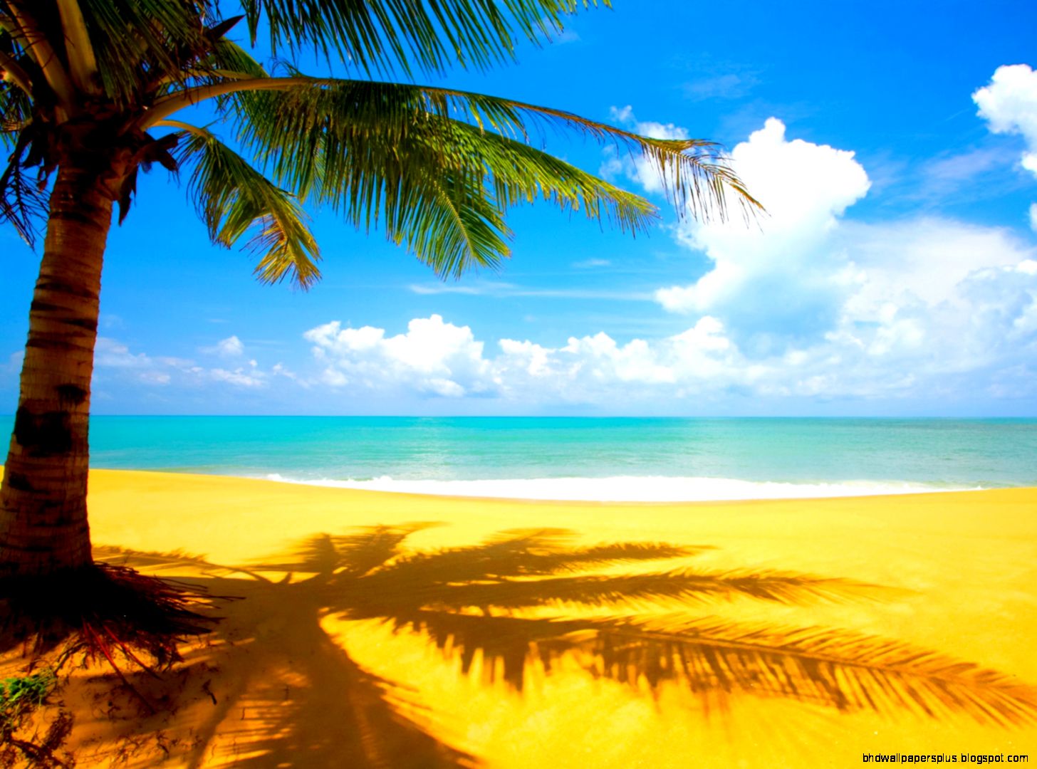 Beach Scenery Beach Scenery