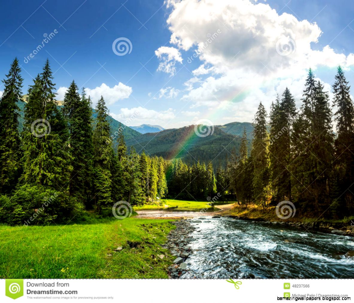 Mountain River In Pine Forest At Sunset Stock Photo Image 48237551 Mountain River In Pine Forest At Sunset Stock Photo Image 48237551