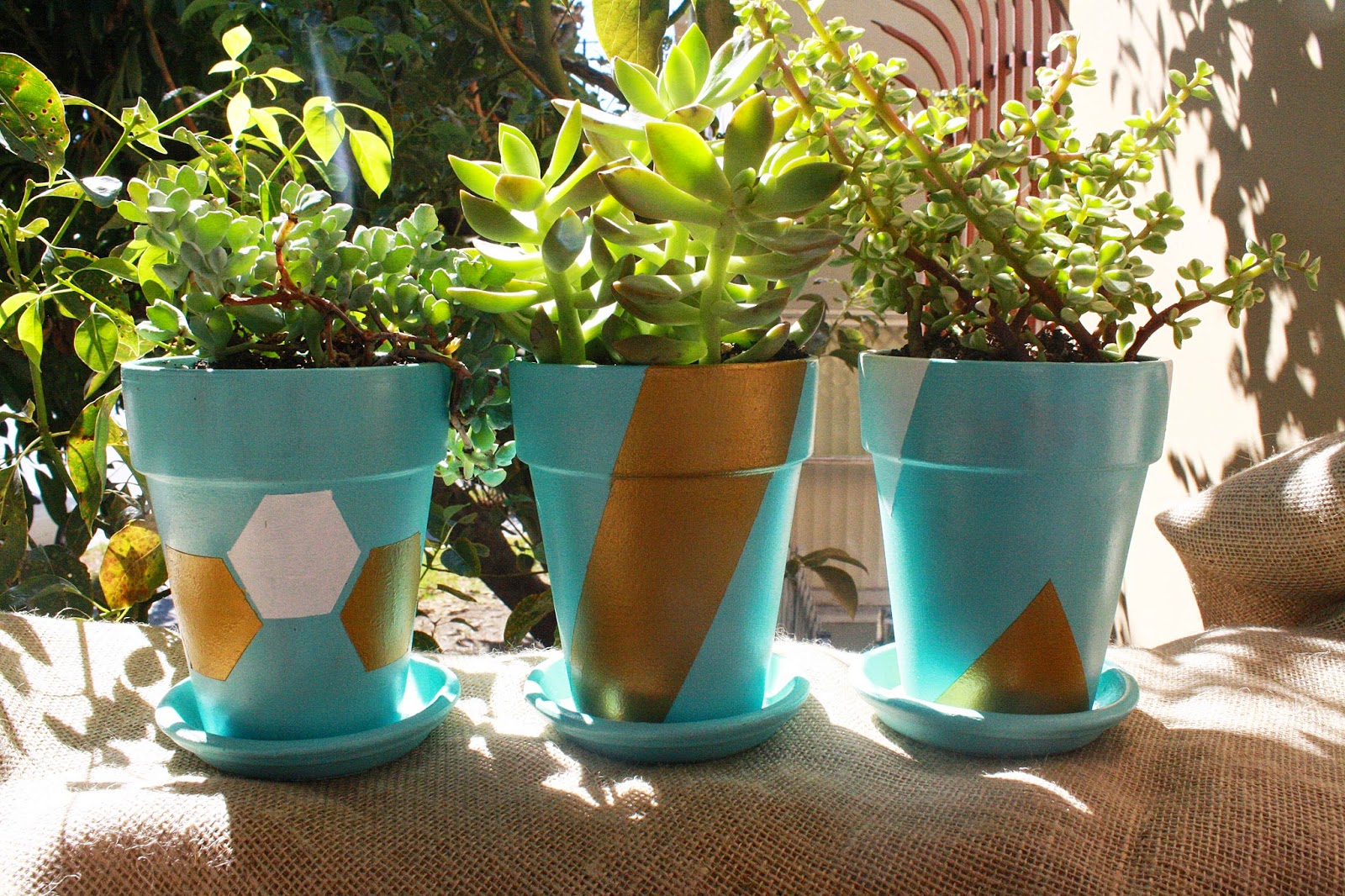 Juneberry Lane Tutorial Tuesday DIY Succulent Painted Pots