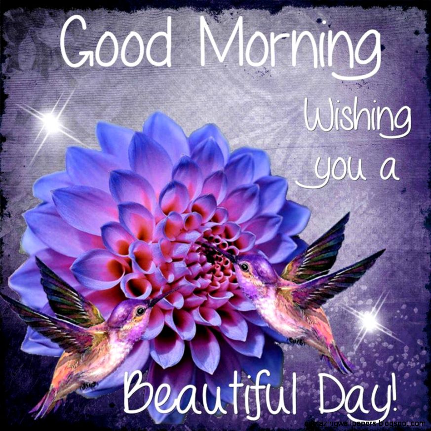 Good Morning Wishing You A Beautiful Day Spring Quote Pictures Good Morning Wishing You A Beautiful Day Spring Quote Pictures