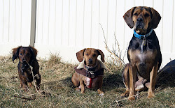 Three Munchkins