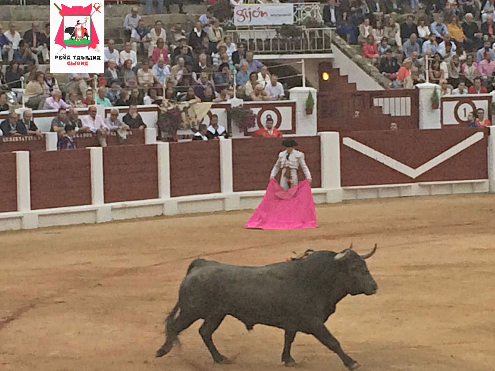 gijon corrida de toros