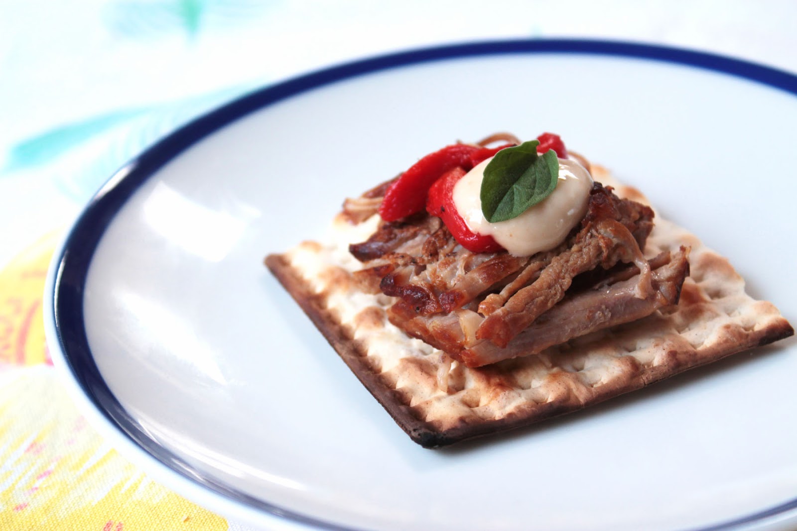 Food Nasty Passover Brisket Matzo!