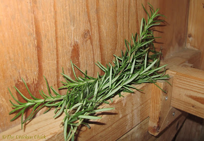 I put fresh stalks of rosemary inside my chicken coop during the growing season.