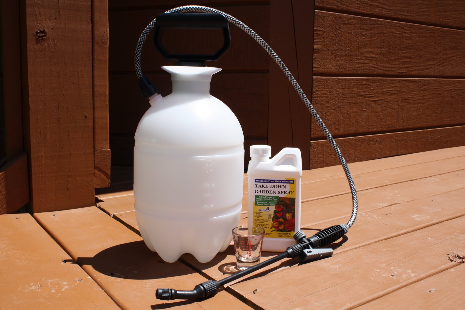 Forks Knives & Spades: Garden Update - Something is eating my plants!