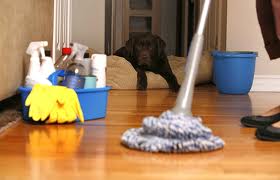 Residential Cleaning Services Clifton NJ