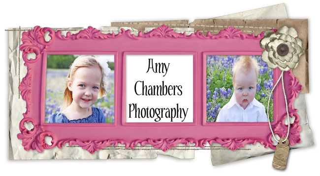 Amy Chambers Photography