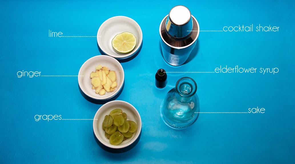 Gastronaut Jones How To Make Cheap Booze Taste Better Chapter 1