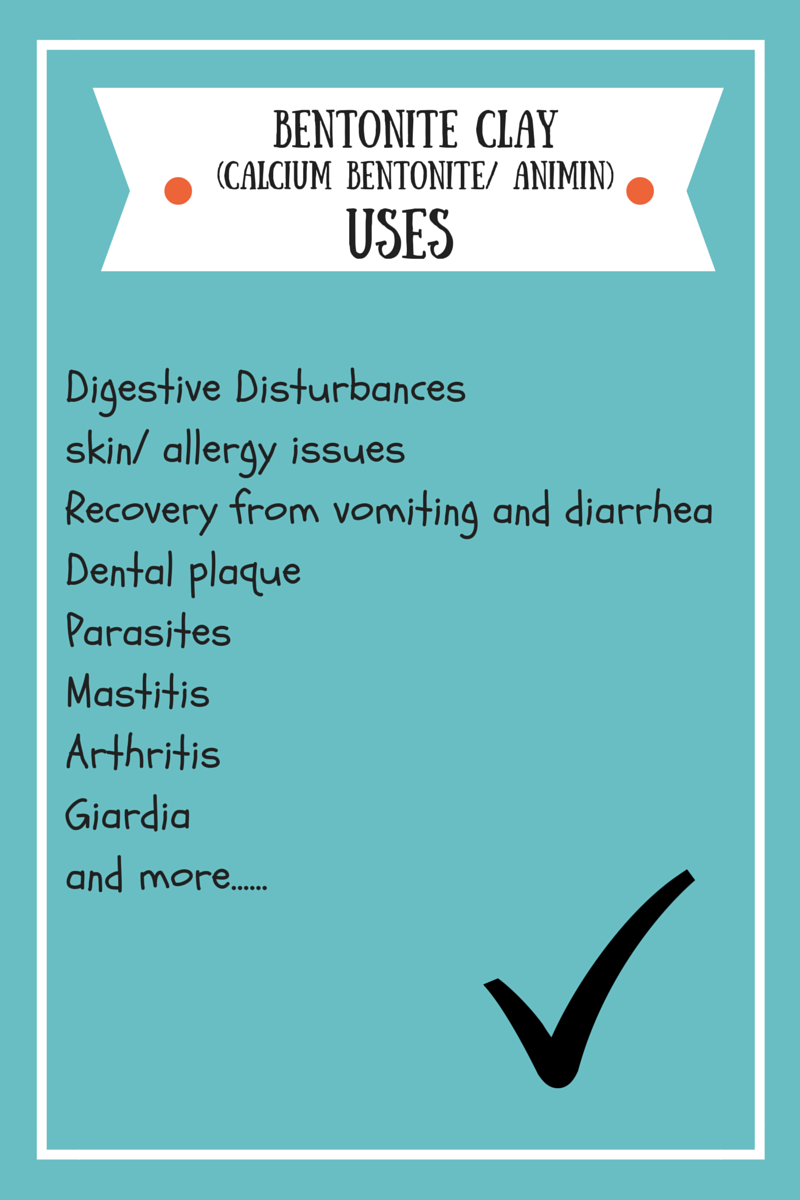 Bark City Doggy Daycare Bentonite Clay For Canines