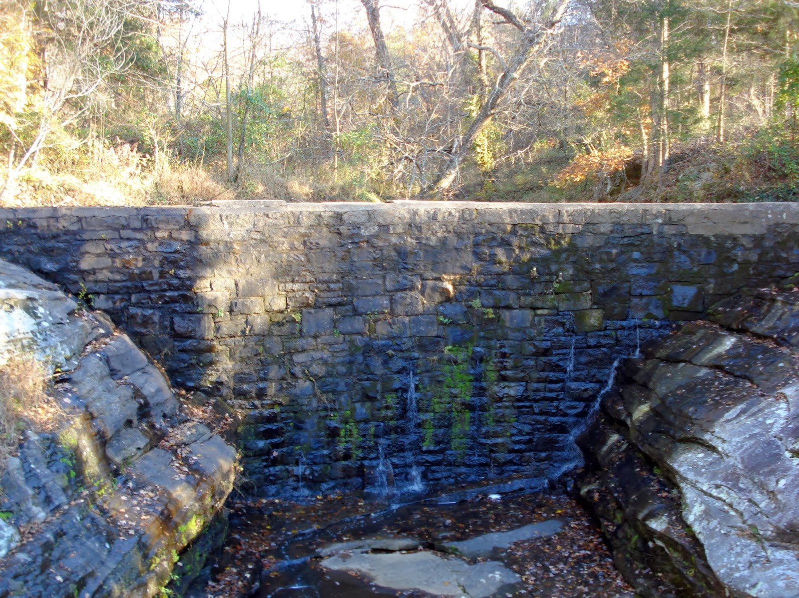 Experiencing Illinois Dixon Springs State Park