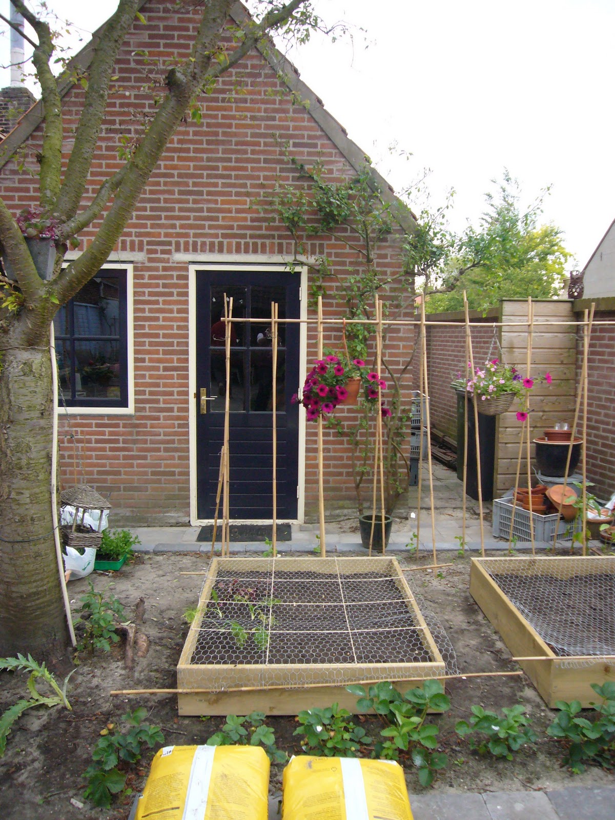 Tuindesign: verhoogde bedden in (moes)tuin