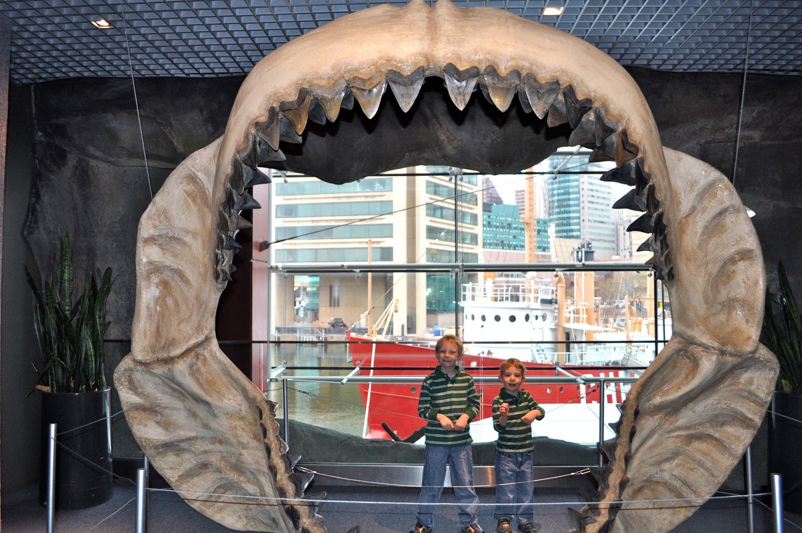 Rambles and Ruminations We Love Washington, DC, 11