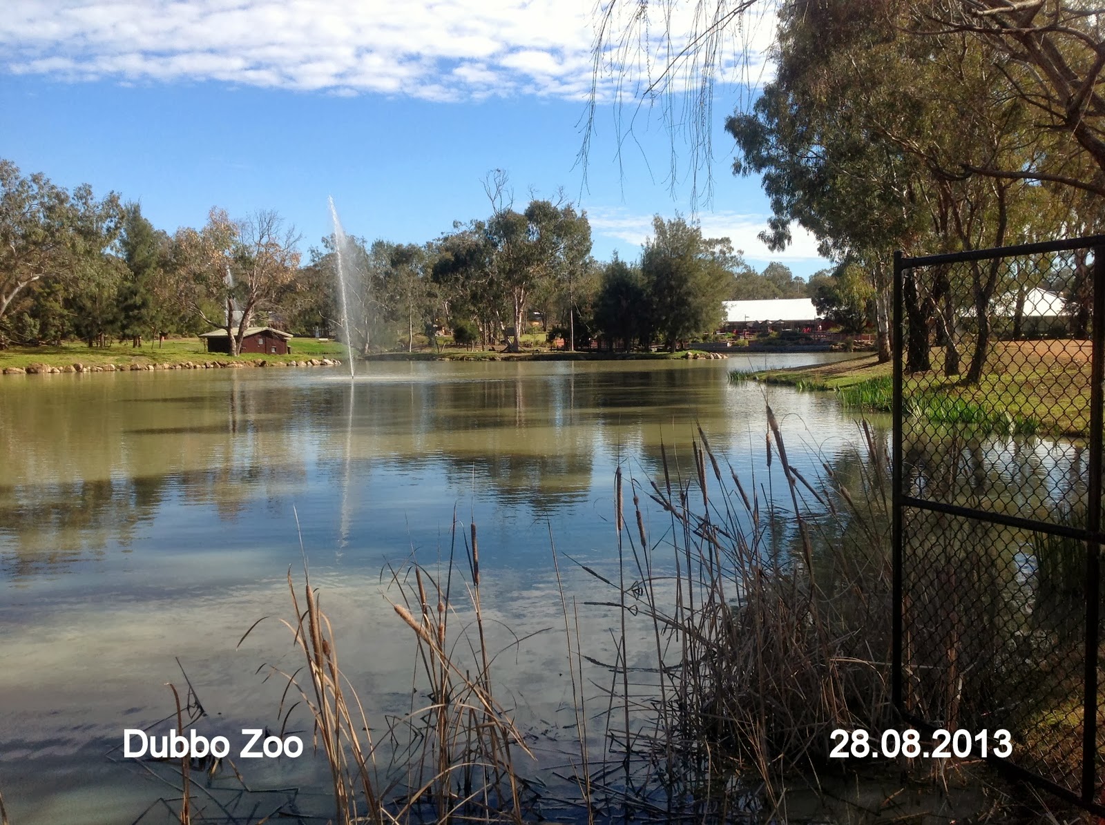 Jan Martin's Travel Blog Dubbo Zoo August 2013