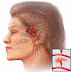 Stroke recovery discussion board