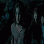 http 3 bp blogspot com z5ichxsmt4m upnogp l1ei aaaaaaaah8m pvmsa6qqyg s280 kurt insan hareketli resimleri 2 gif