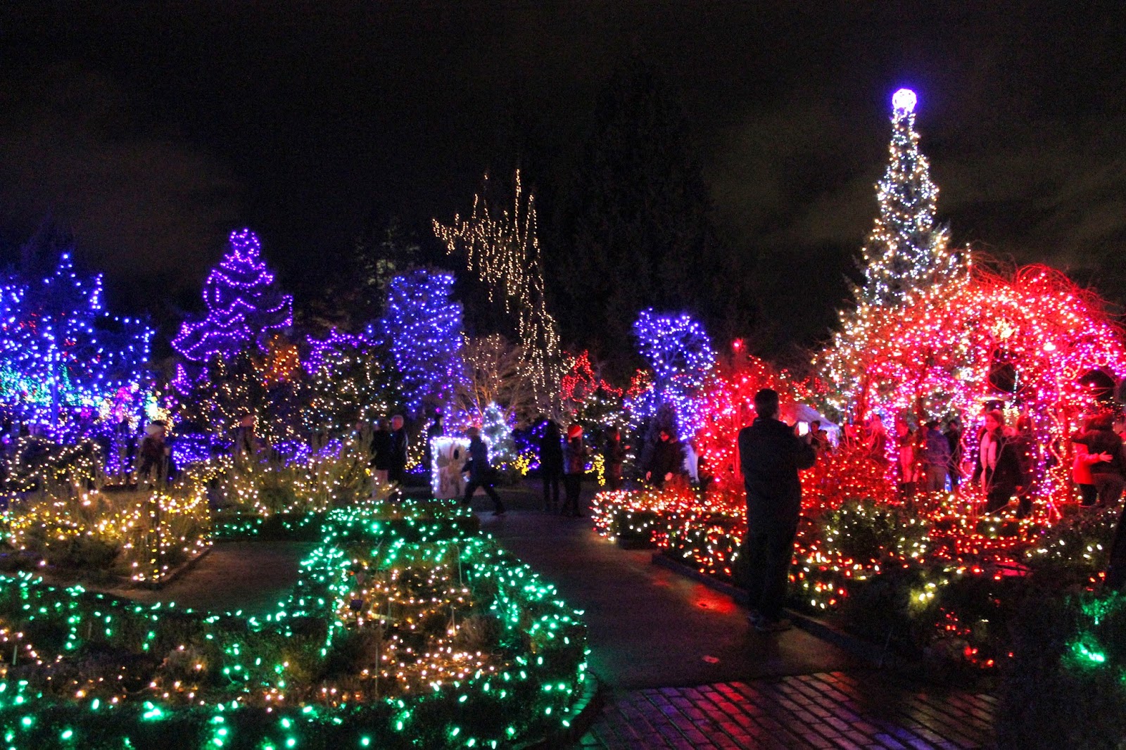 Festival of Lights at VanDusen Botanical Garden The Chronicles of