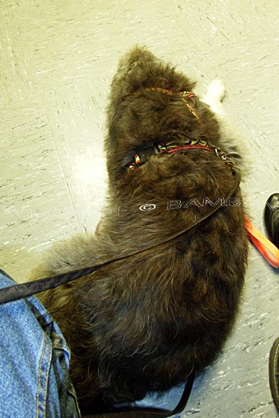 Burgerportal Bergisch Gladbach Nachrichten Hintergrunde Termine