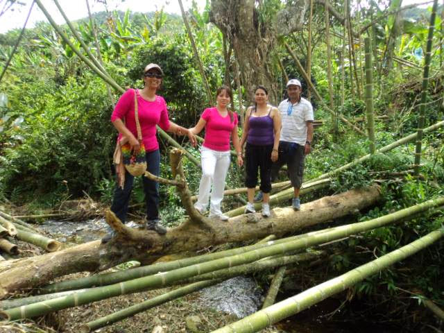 PUENTE PEATONAL