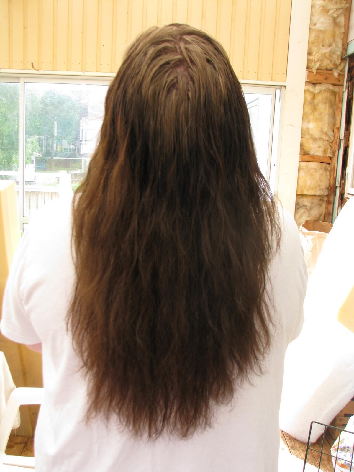 Winters Moon My Hair After Bleach Henna