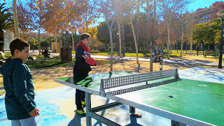 FINAL REGIONAL DE TENIS DE MESA ALEVÍN (19/01/2019).