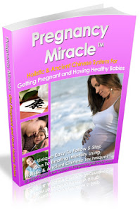 Pregnancy Miracle e-book
