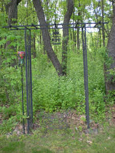 Trellis in the Backyard