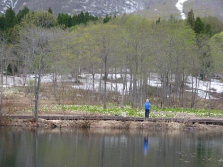 流浪の画家 の隆くん ５ ２ 水 妙高高原池の平 いもり池
