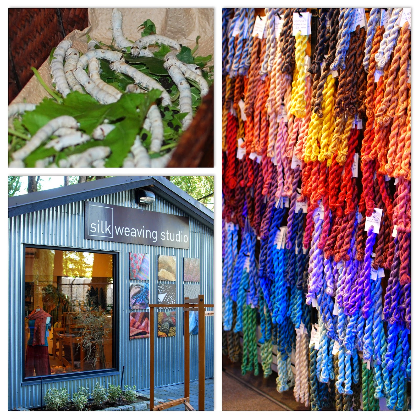 Every Single Thing About You Granville Island