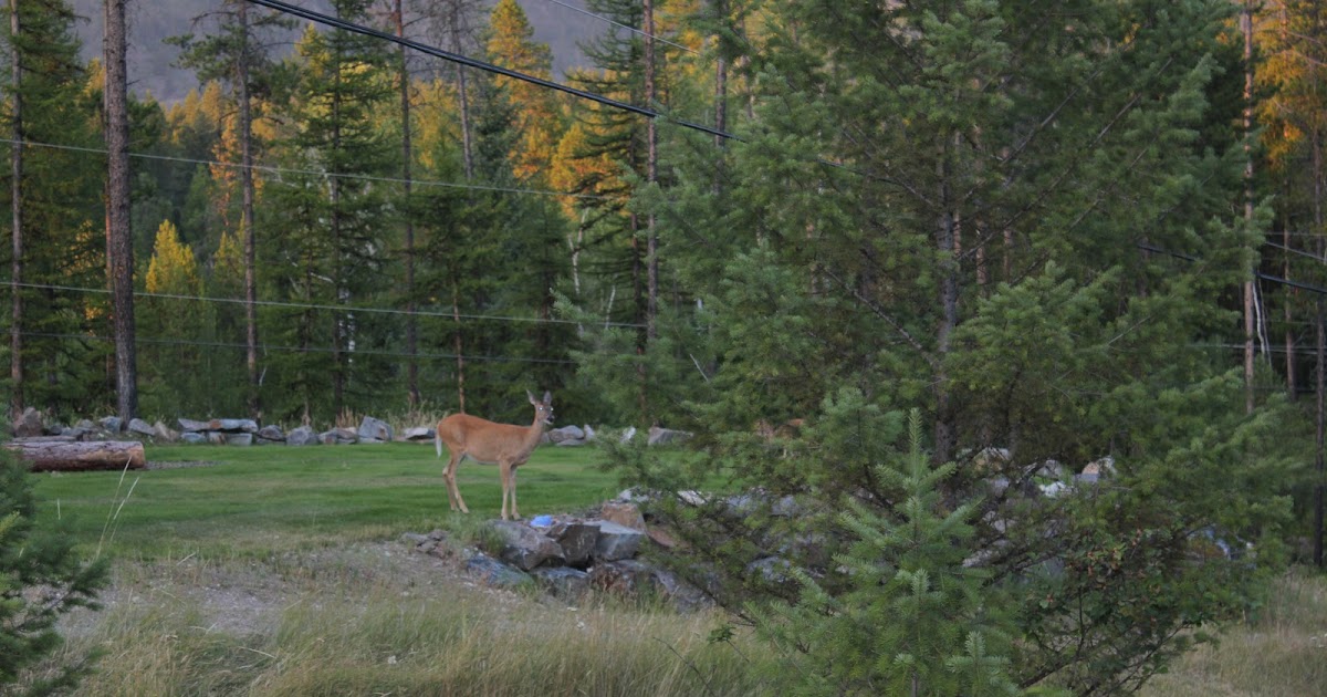 The Watsons Rosen Lake, BC
