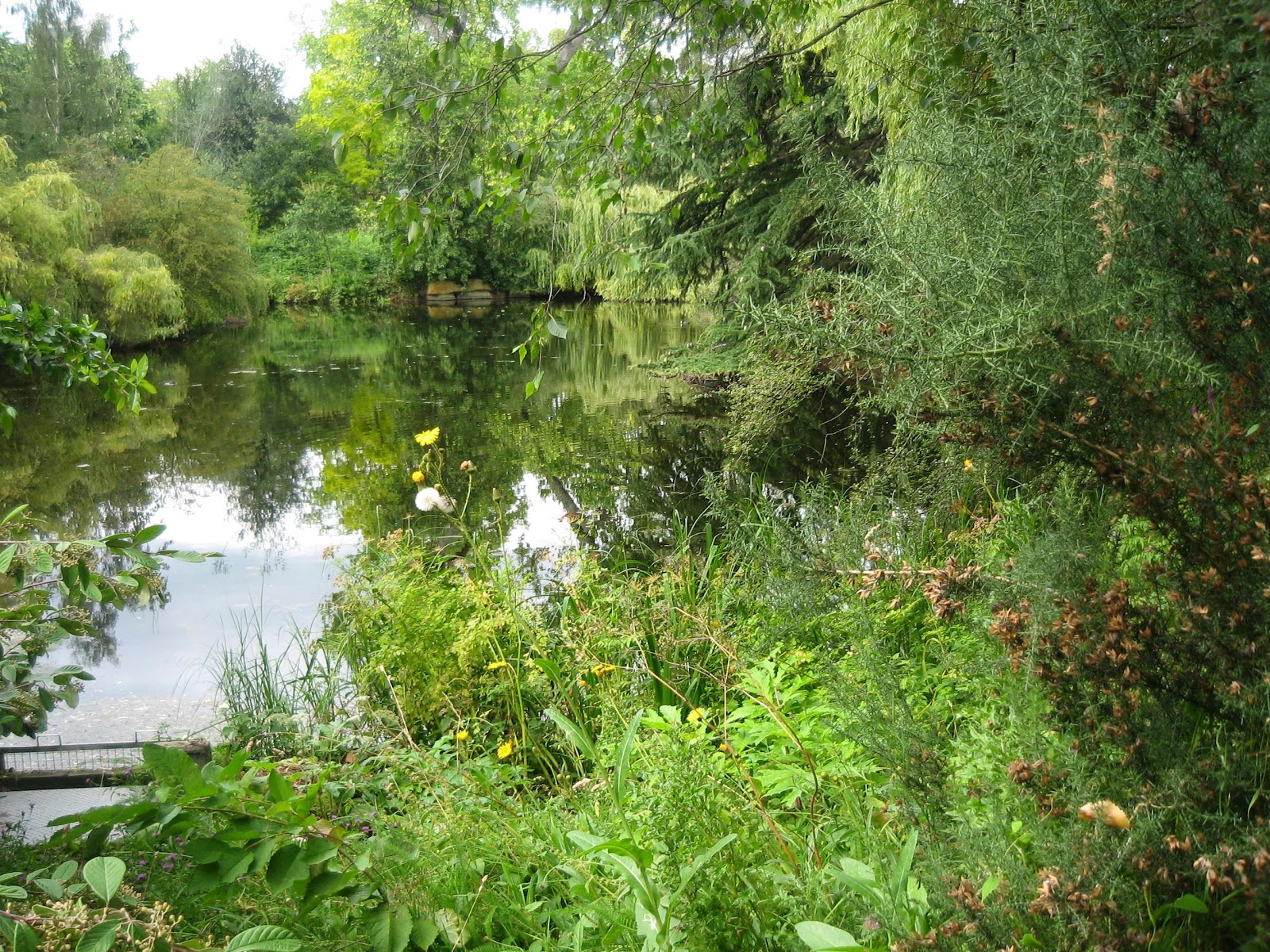 My Recollections: BUCKINGHAM PALACE..... THE VISIT