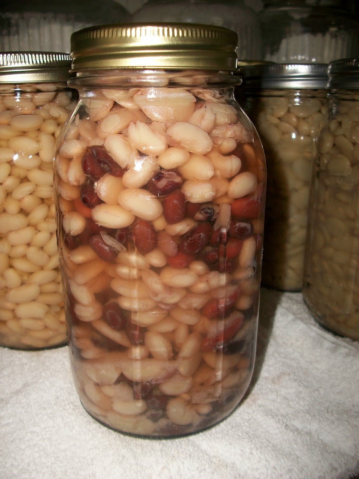 Penny Pincher's Pantry Pressure Canning Dried Beans, Baked Beans