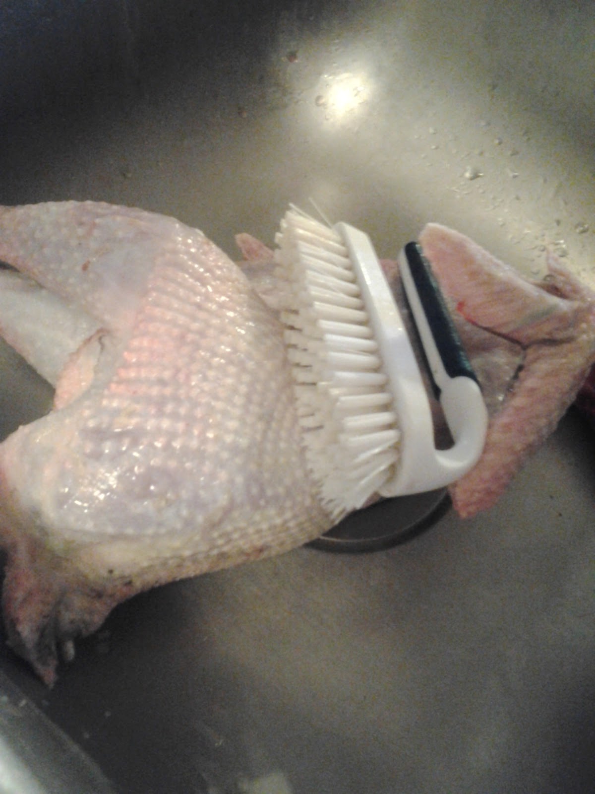 Chicken Pin Feathers