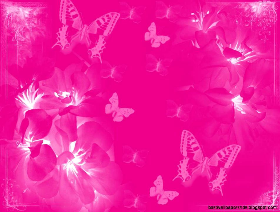 Download Free Pink Wallpaper Free HD Wallpapers Download Free Pink Wallpaper Free HD Wallpapers