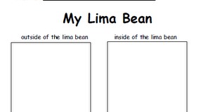 Classroom Freebies Too: FREE Science Lima Bean Worksheet