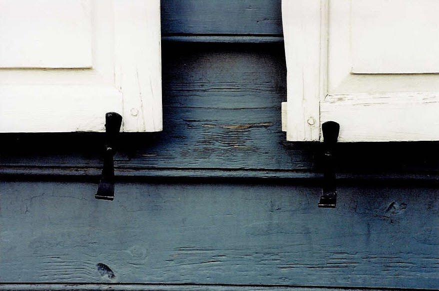 Charleston Photos Shutter Dogs