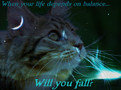 When your Life depends on balance...