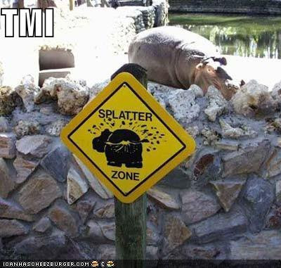 funny-pictures-tmi-hippo-splatter-zone.jpg