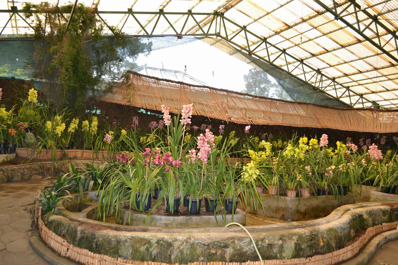 Inside Flower Exhibition Centre , Gagtok
