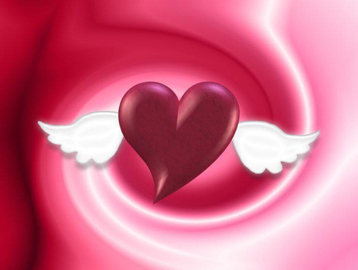 رومنسيات مملكة الابداع يناير 2012