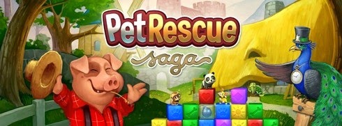 Pet Rescue Saga Hints and Tips