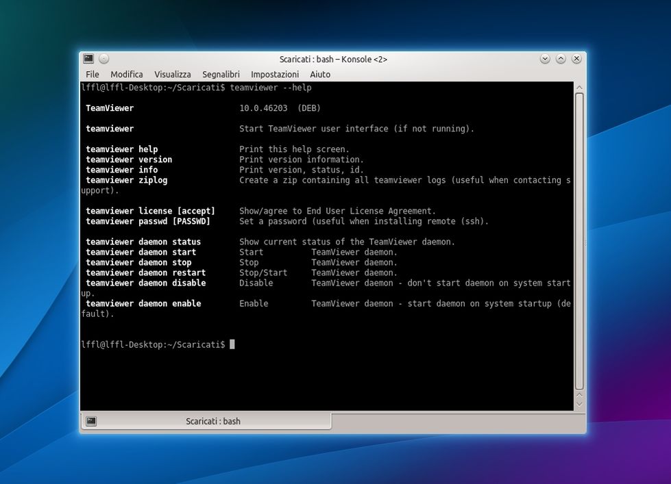 TeamViewer da riga di comando TeamViewer da riga di comando