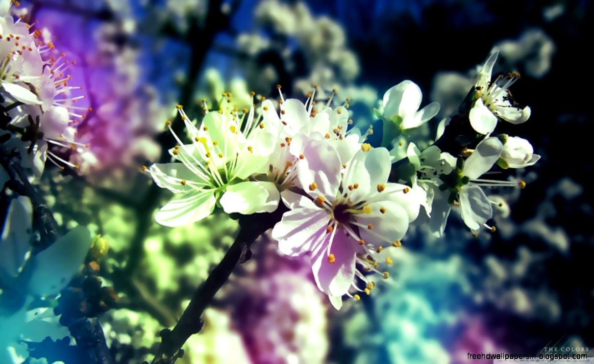 Colorful Spring HD desktop wallpaper Widescreen High Colorful Spring HD desktop wallpaper Widescreen High