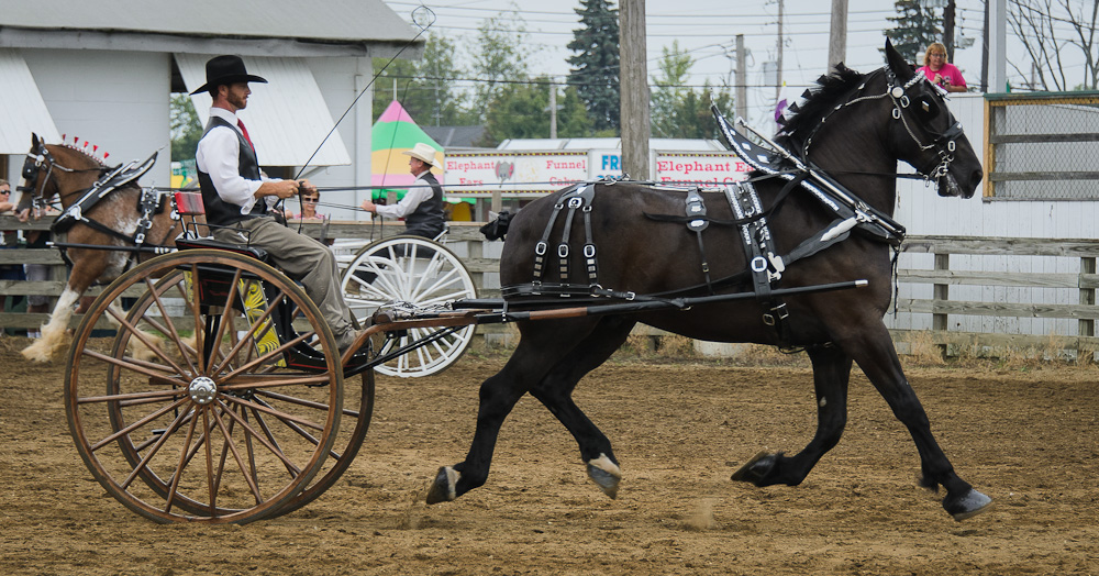 Projects and Photographs Geauga County Fair Draft Horse Show