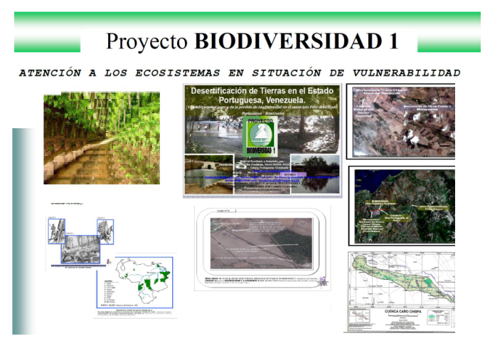 Proyecto Biodiversidad 1