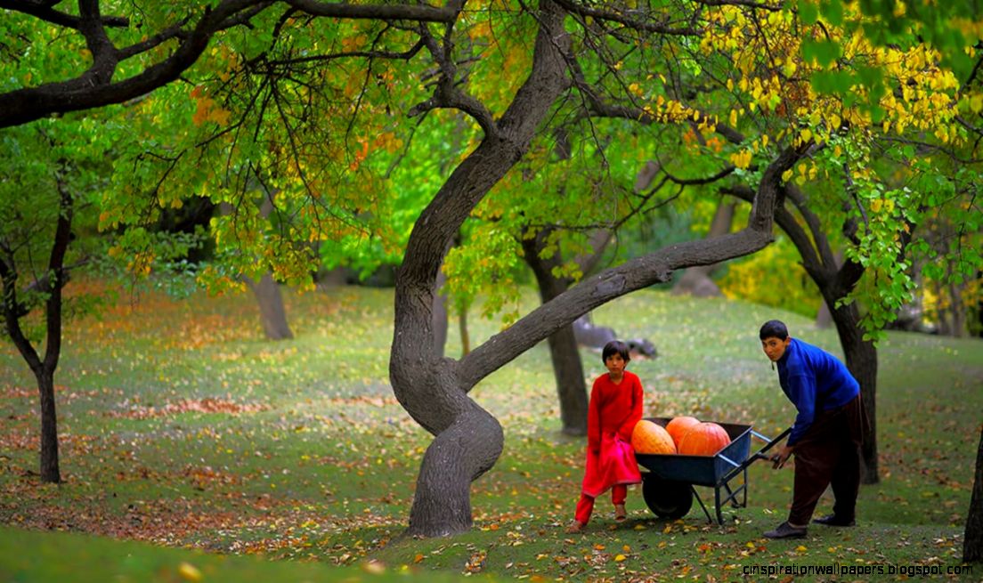 Hunza valley A whole new spectrum of colours Pakistan Hunza valley A whole new spectrum of colours Pakistan