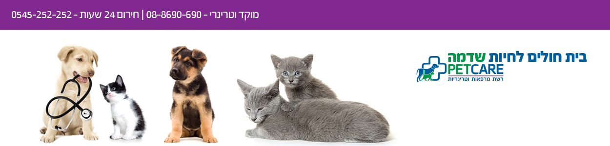 שדמה vet-hospital.co.il BlogSpot
